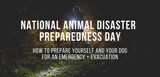 national animal disaster preparedness day how to prepare yourself and your dog for an emergency and evacuation