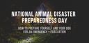 National Animal Disaster Preparedness Day - Impact Dog Crates
