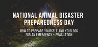 Image showcasing National Animal Disaster Preparedness Day - Impact Dog Crates