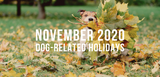 november 2020 dog related holidays