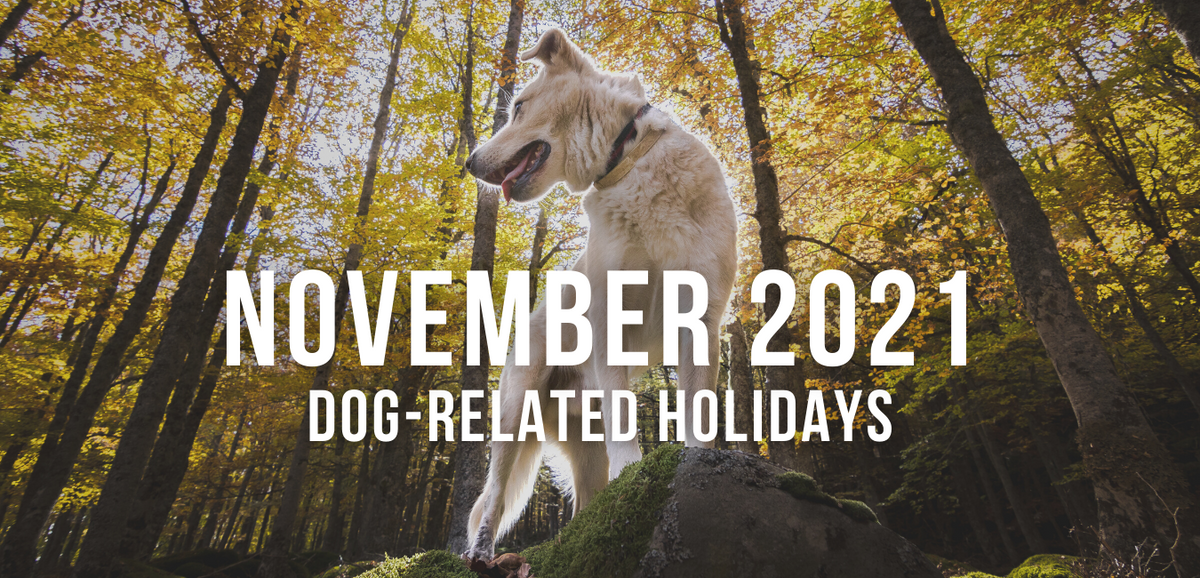 November Pets November 2021 Dog-Related Holidays and Observances โ Impact Dog Crates