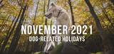 november 2021 dog-related holidays image of dog standing on rock in forest