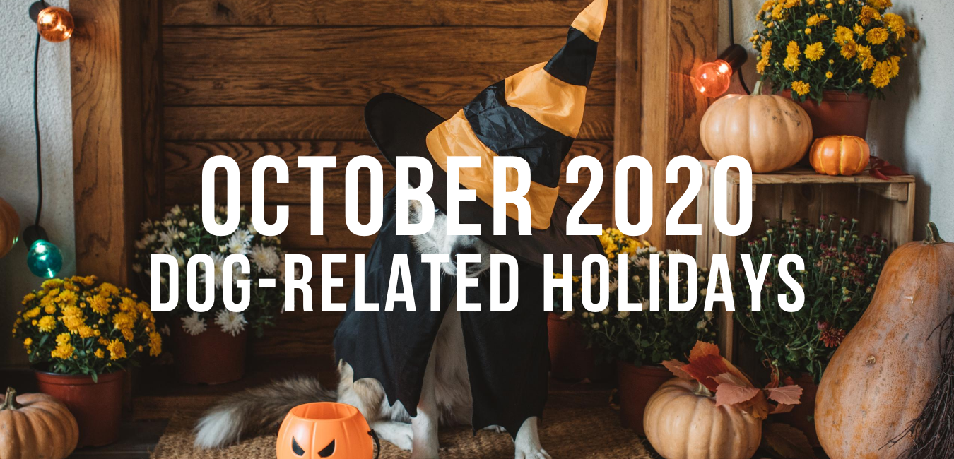 October 2020 Dog Related Holidays โ Impact Dog Crates