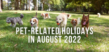 pet-related holidays in august 2022 dogs running in grass at park