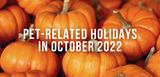 pet-related holidays in october 2022 pumpkin patch