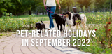 pet related holidays in september 2022 shows five dogs walking