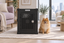 A Pomeranian sitting beside Impact's black Stationary Dog Crate in a living room.