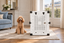 A Poodle sitting on the rug beside Impact's white Collapsible Dog Crate in a living room.