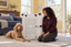 A Poodle resting beside an Impact Collapsible dog crate.