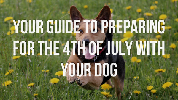 Your Guide to Preparing for the 4th of July with Your Dog