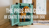 The Pros and Cons of Crate Training Your Dog