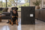 A Rottweiler sitting beside Impact's black High Anxiety Crate in a living room.
