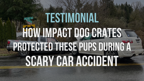 Testimonial: How Impact Dog Crates Protected These Pups During a Scary Car Accident