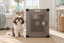 A Shih Tzu sitting on a jute rug beside Impact's gray Stationary Dog Crate in a sunlit living room.