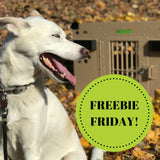 Did you know about FREEBIE FRIDAY???