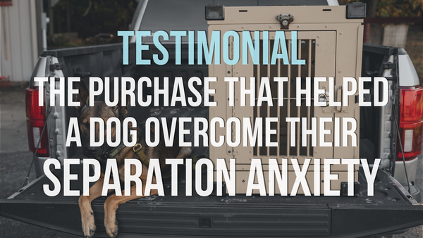 Testimonial: The Purchase that Helped a Dog Overcome Their Separation Anxiety