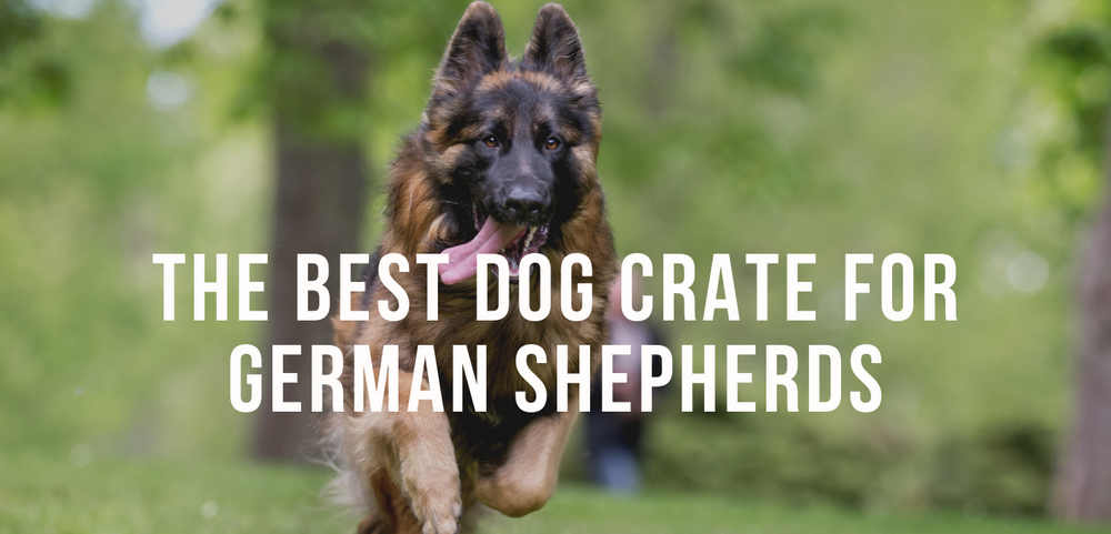 Best dog crate for german shepherd deals