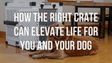 How the Right Crate can Elevate Life for you and your Dog