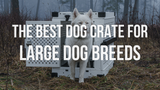 The Best Dog Crate for Large Dog Breeds