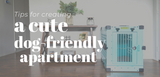 tips for creating a cute dog friendly apartment