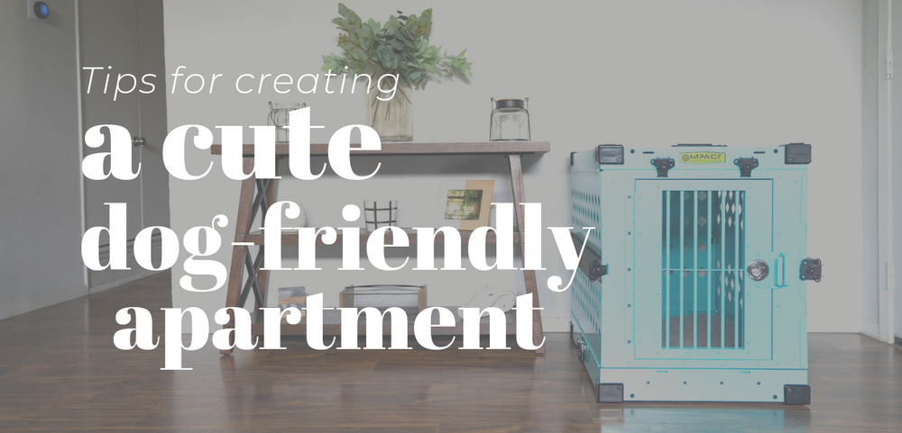 Picture of Tips for Creating a Cute Dog-Friendly Apartment – Impact Dog Crates