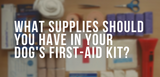 what supplies should you have in your dog's first aid kit