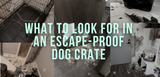 What To Look For In An Escape-Proof Dog Crate