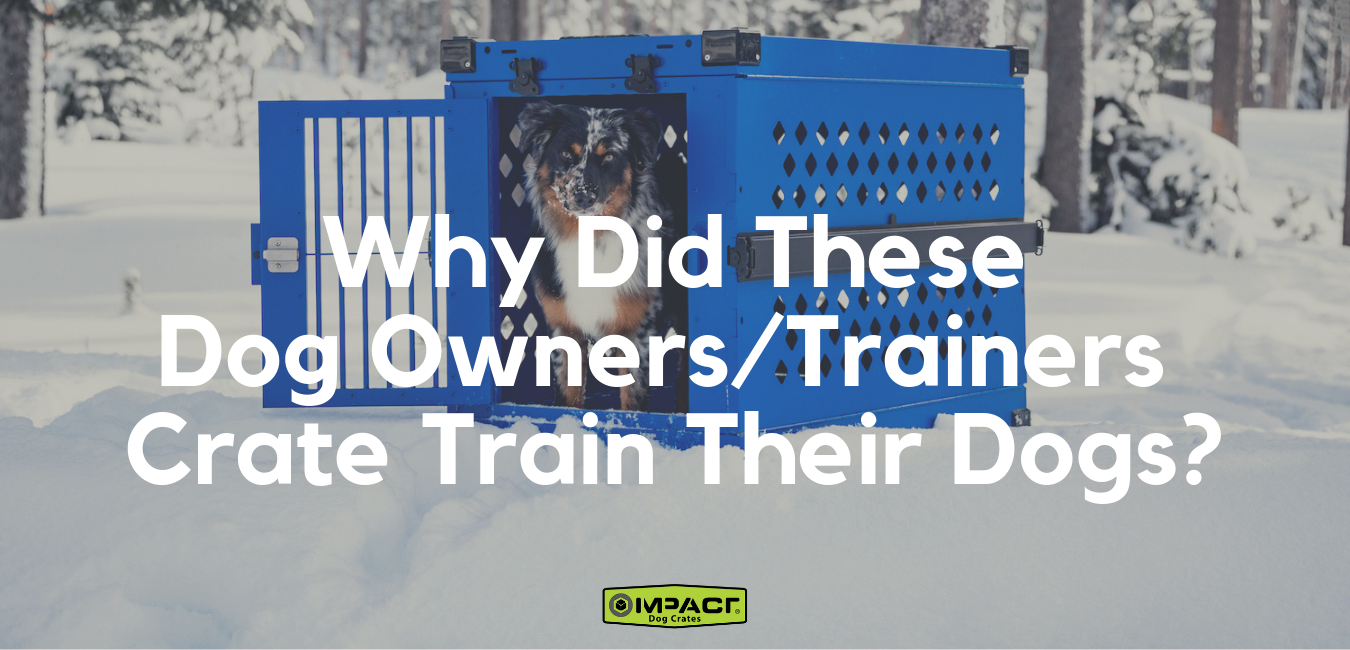 Why Did These Dog Owners and Trainers Crate Train Their Dogs? Impact