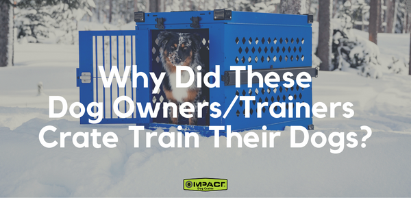 Why Did These Dog Owners and Trainers Crate Train Their Dogs?