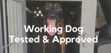 working dog tested and approved crate featuring dutch shepherd dog