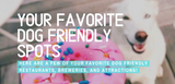 your favorite dog friendly spots and restaurants