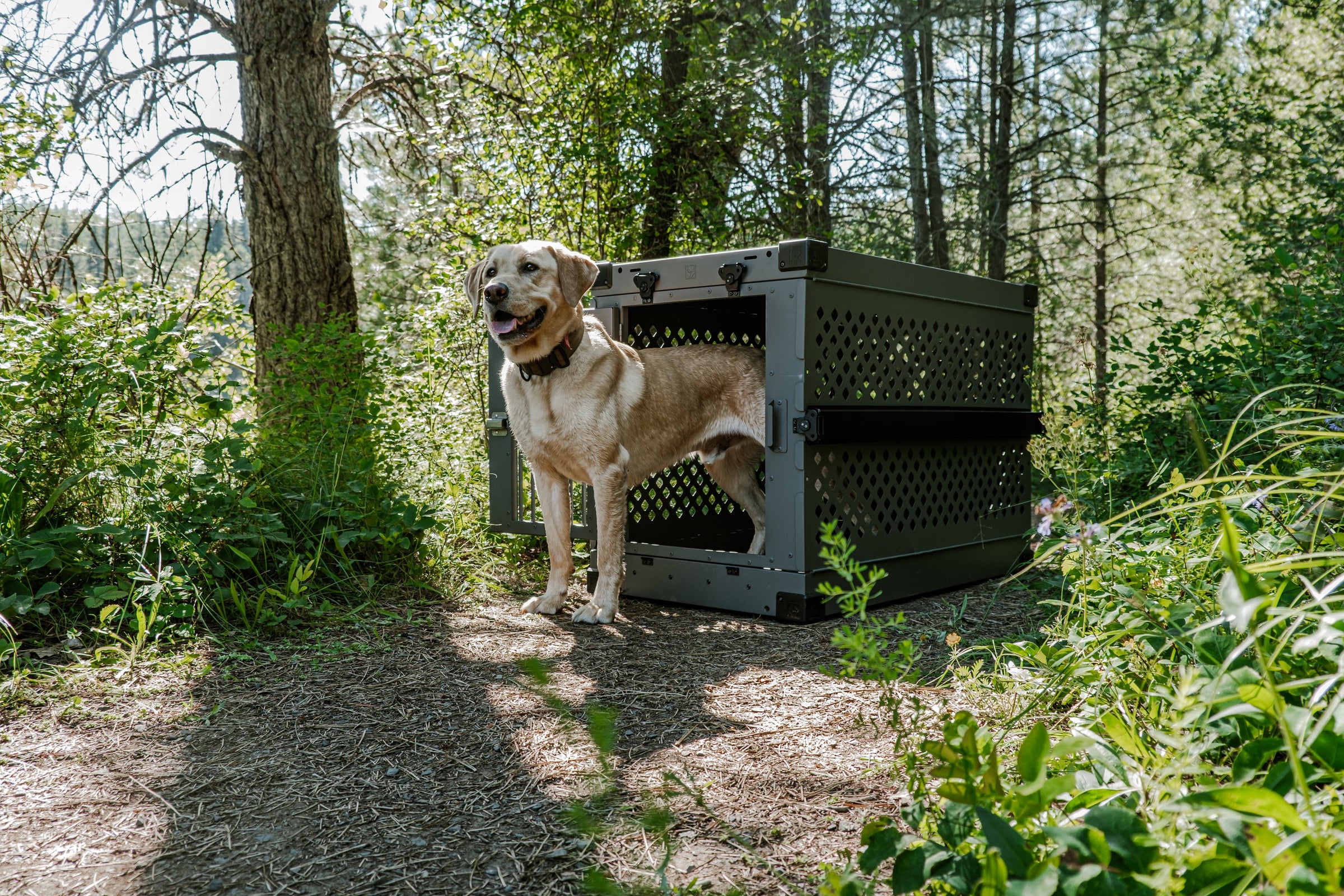 Collections Impact Dog Crates collections-impact-dog-crates