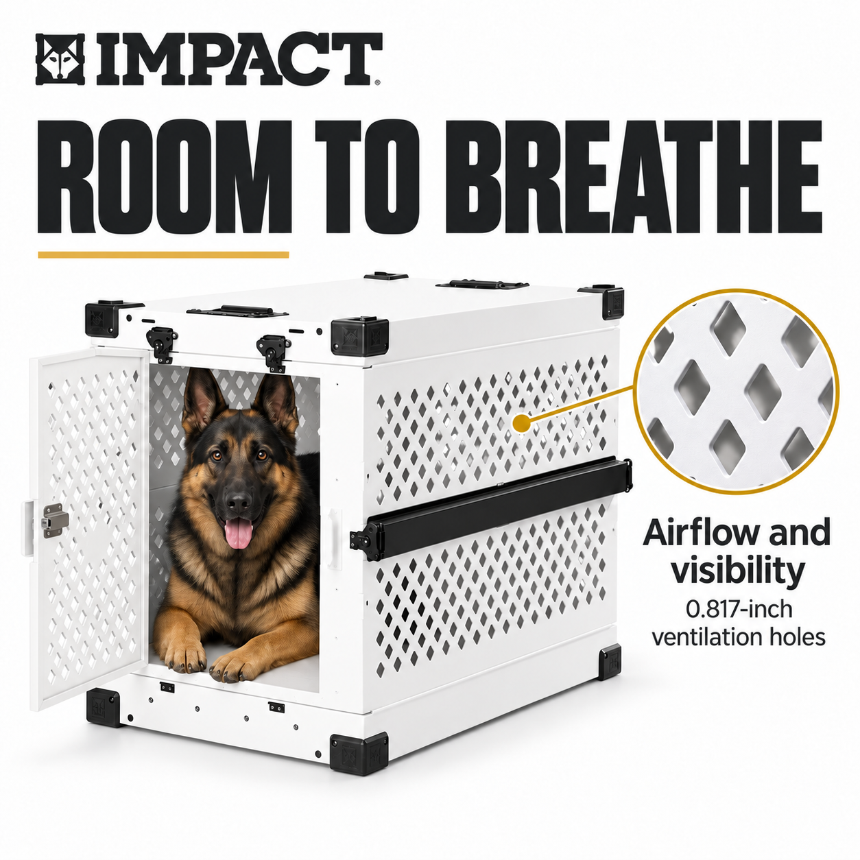 Collapsible Dog Crate