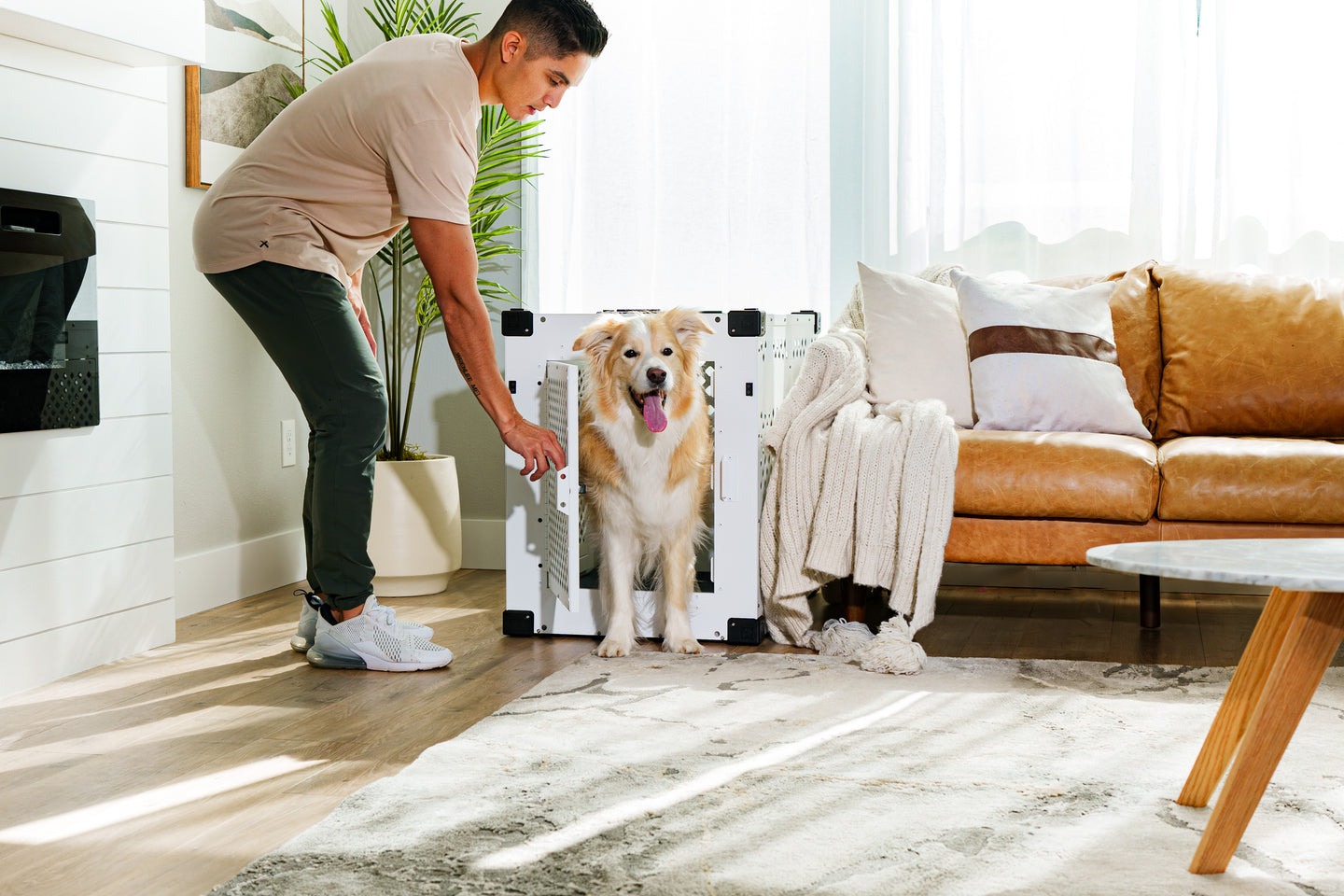 Picture of Stationary Crate - Explore Now – Impact Dog Crates