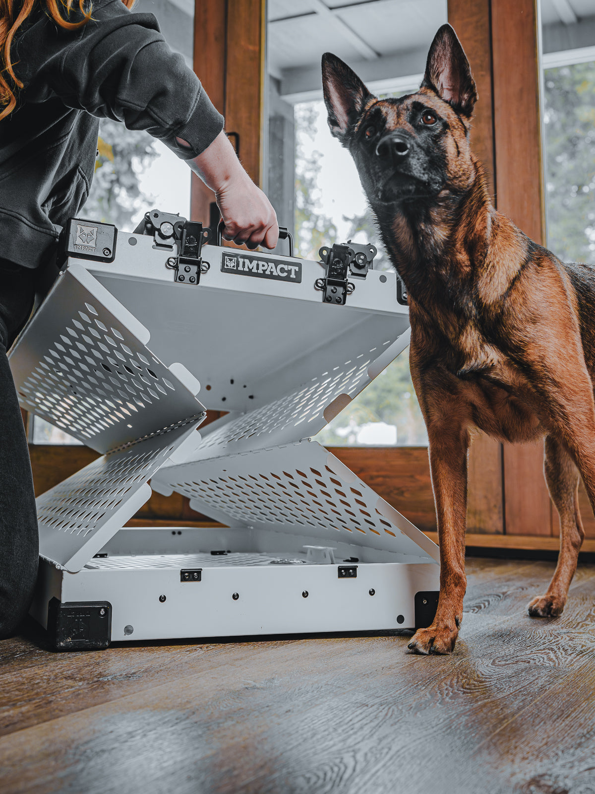 Collapsible Crate Explore Now Impact Dog Crates