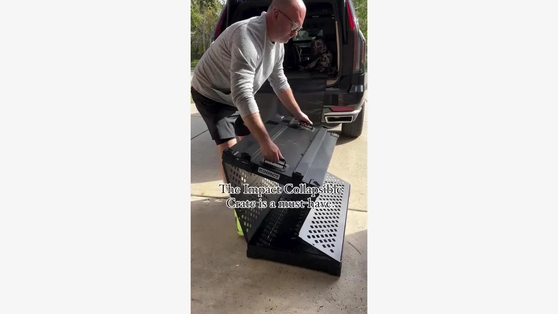 Collapsible Dog Crate