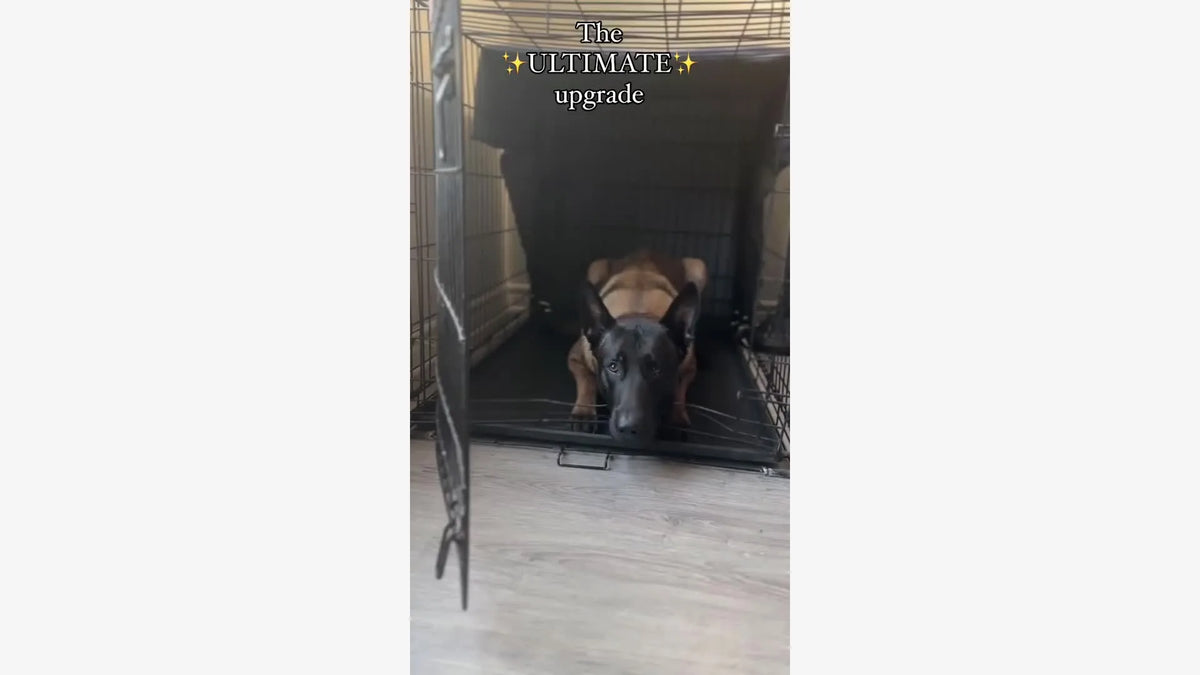 A closer look at Social Dog Crate Elevations