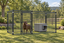 5x10 kennel with a brown dog and dog shelter in a yard #size_5x10