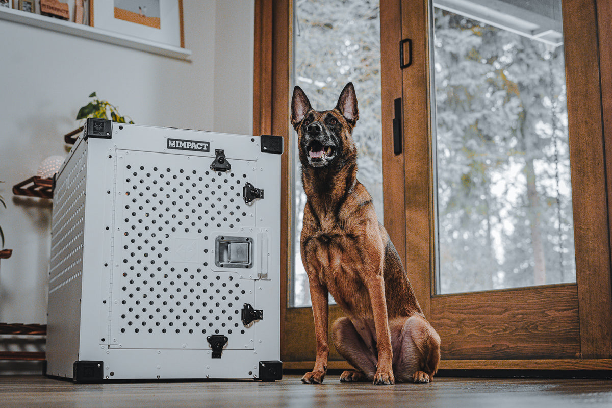 Reducing Dog Anxiety Crate photo