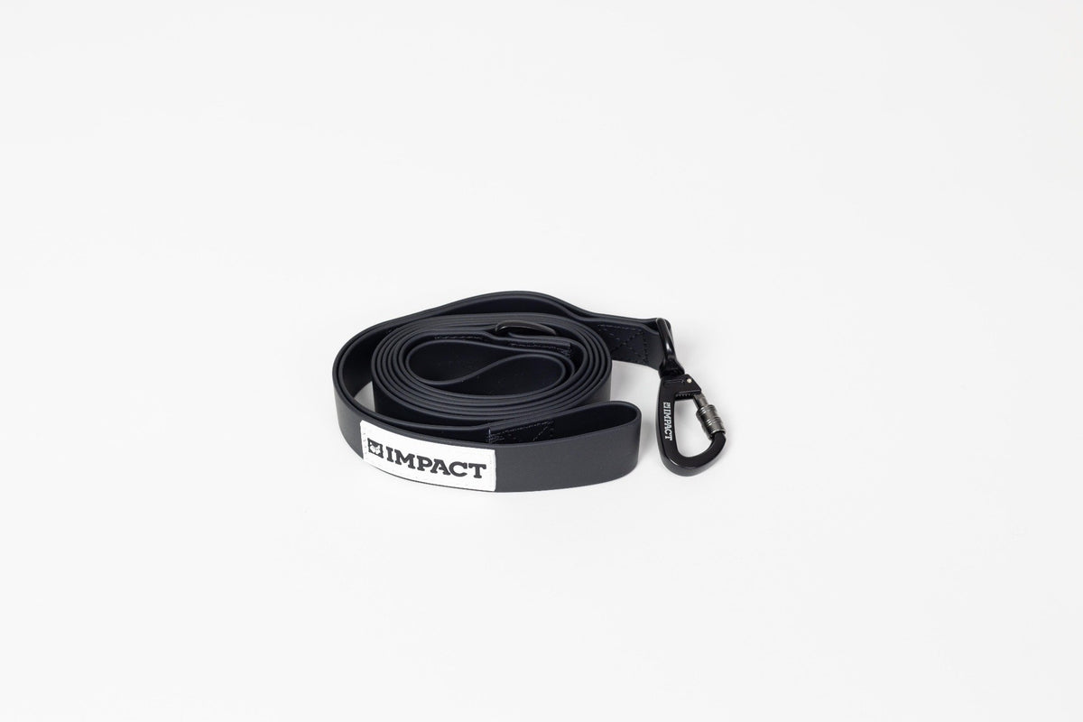 Leash
