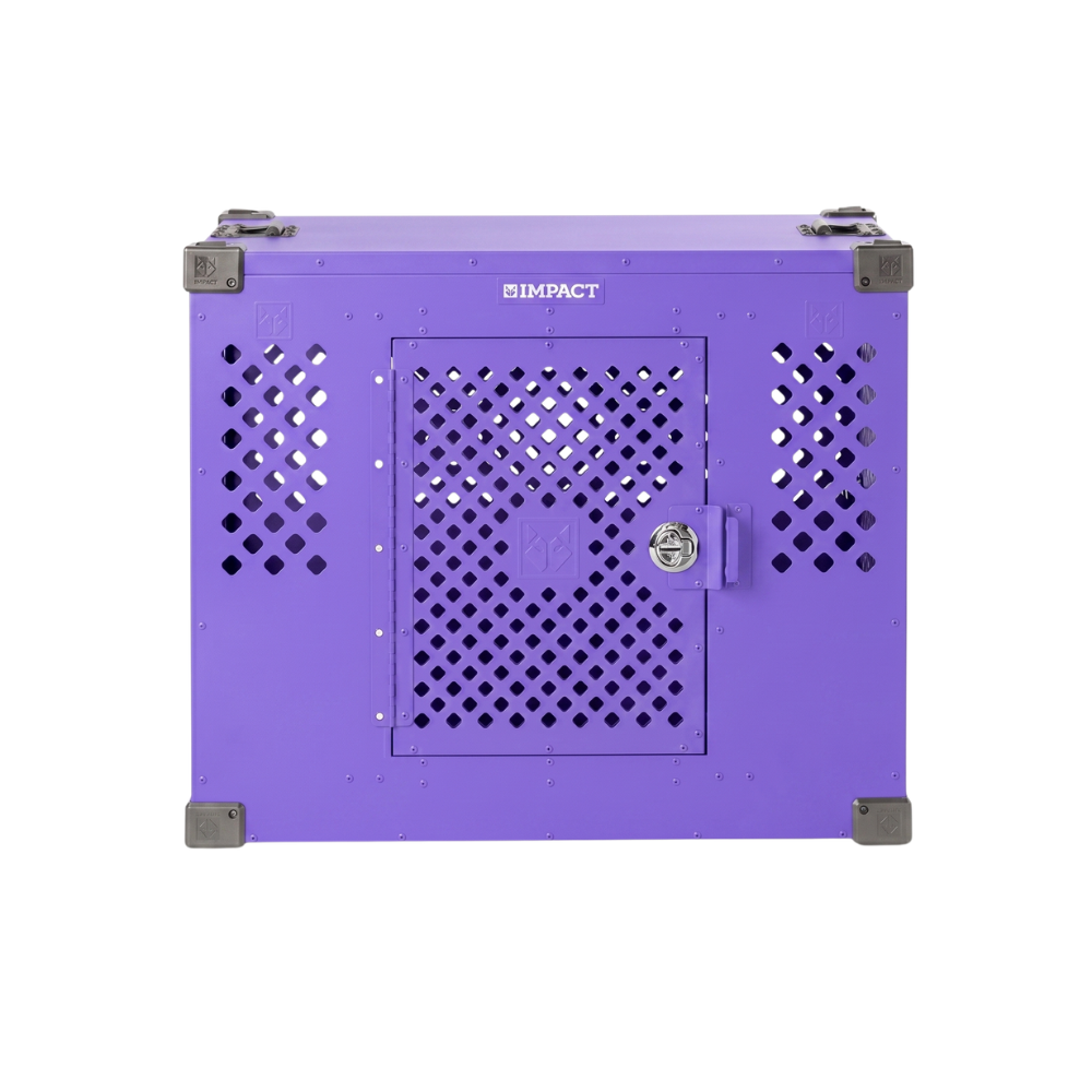 #color_purple