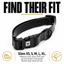 BioThane® Dog Collar