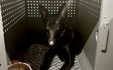 Best purchase I ever made!