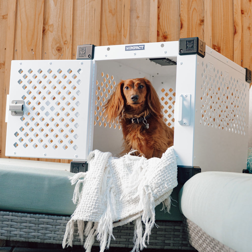 Illustration of Crate Pad For Dogs With Anxiety
