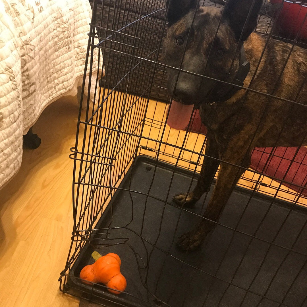 Before: Wire Crate