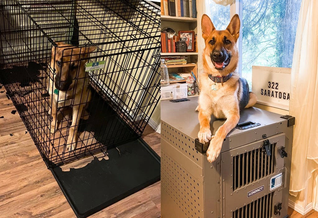 The crate that fails costs more than the one that doesn't.