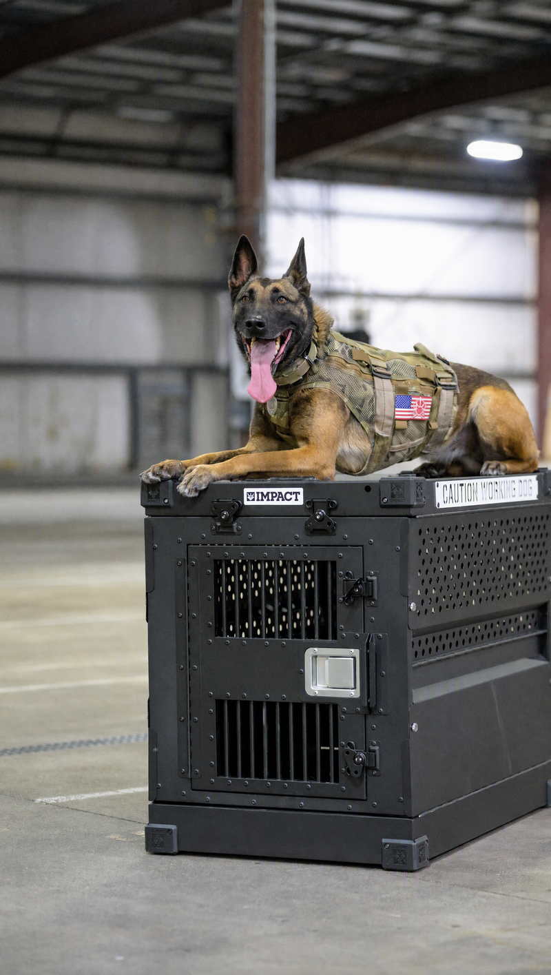 Collapsible Crate - PRO SERIES