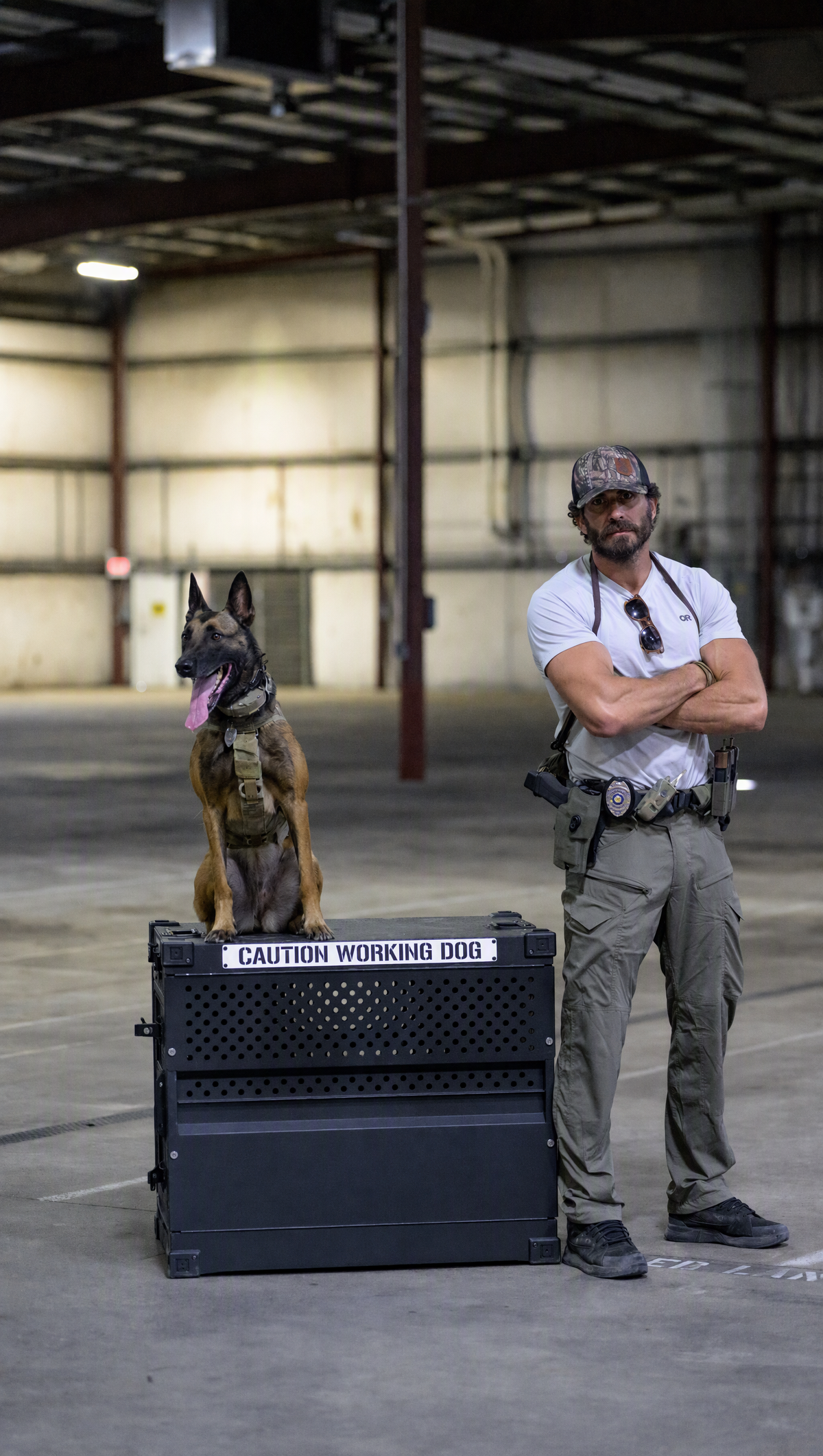Working Dogs