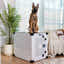 Dog Standing on top of their White High Anxiety Dog Crate