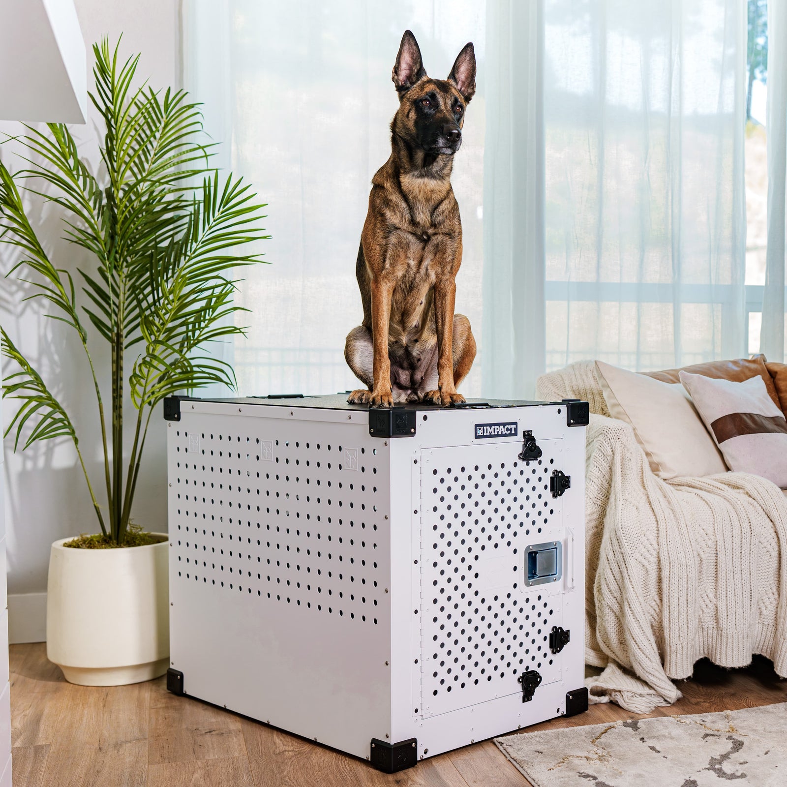 Durable Anxiety Dog Crate With Electronic Bell photo